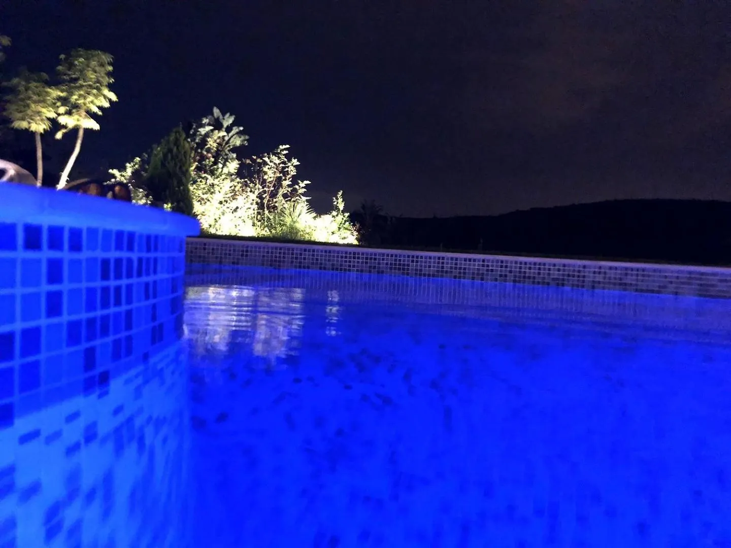 Palm Tree Golfers Retreat With Private Pool Apartment San Roque   San Roque (Andalucia)